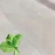 ひらやま