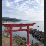 ぴくしの画像