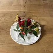 ぽちすけ