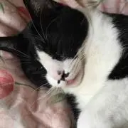 ゆうの画像