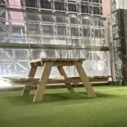 こーぎの画像
