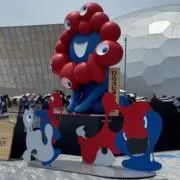ポポラスの画像