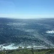 arkの画像