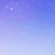 尚