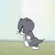 mopの画像