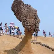 ひろの画像