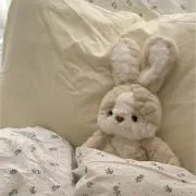 かちゃんの画像