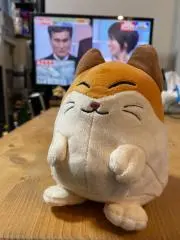 べやの画像