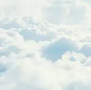 あおの画像