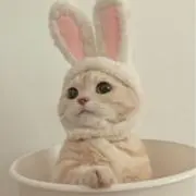 nemuの画像