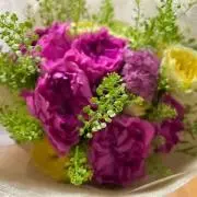 ayn.m