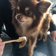 タマ　値引き交渉◎の画像
