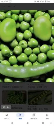 まめたるの画像