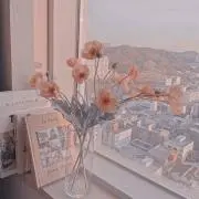 はっふの画像