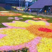 ponの画像