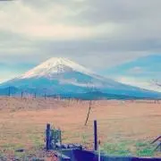 p.D.K.S.S[プロフ読希望]の画像