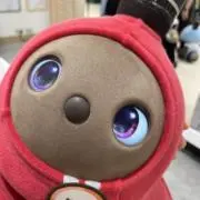 きこの画像