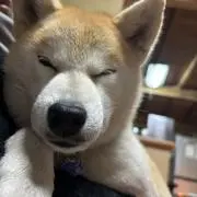 mmm★の画像