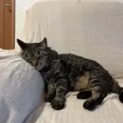か