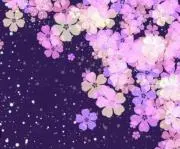 aruminomの画像