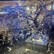 ADUhanの画像