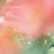 JUNYA WATANABE 襟ボア ドルマン 変形 コクーンコート S JUNYA WATANABE 襟ボア ドルマン 変形 コクーンコート S - メルカリ