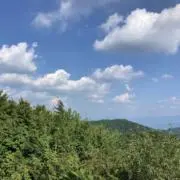 はなこの画像