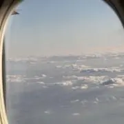 もんさんの画像