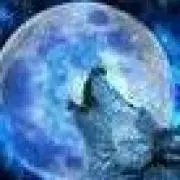 星 桃次郎