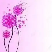 cottonの画像