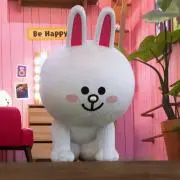 cony