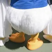 oostueの画像