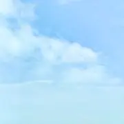 saltの画像