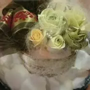 aureriaの画像