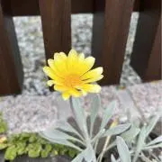 Heat ★お値引き歓迎の画像
