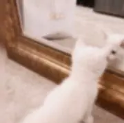 san ☆ セール中の画像