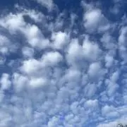 ゆきこの画像