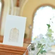 なみの画像