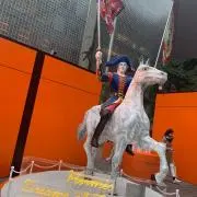 みかんの画像