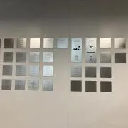 たーさんの画像