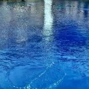 ゆめの画像