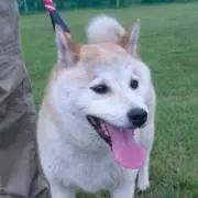 まめまめ