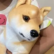 ss