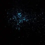 deltaの画像