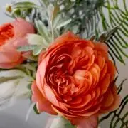 Mowの画像