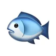 のりのりの画像