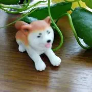 かこりんの画像
