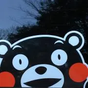 Konta88の画像
