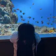 みゆうの画像