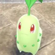 しゆの画像
